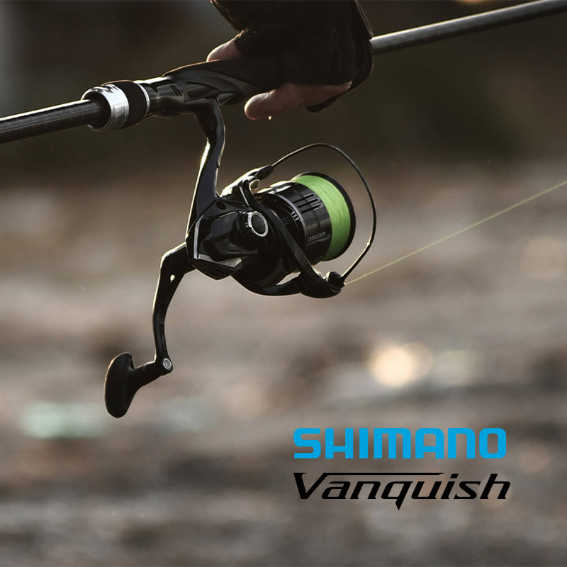 Shimano 23 Vanquish Origin Fis - Daiwa Reel Bg บทวิจารณ์และราคา